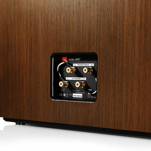 Dual sets of gold-plated binding posts with shorting straps.